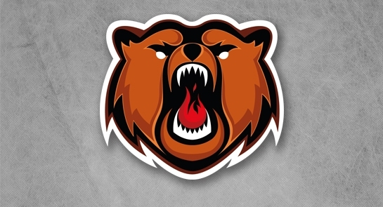 «Кузнецкие Медведи» шестой сезон подряд будут играть в плей-офф
