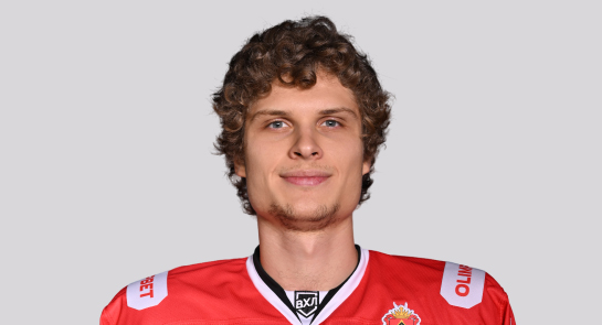 Стариков Лев