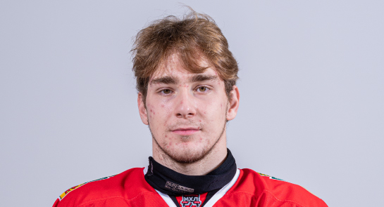 Будуев Роман