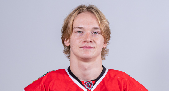 Логвин Егор Е.