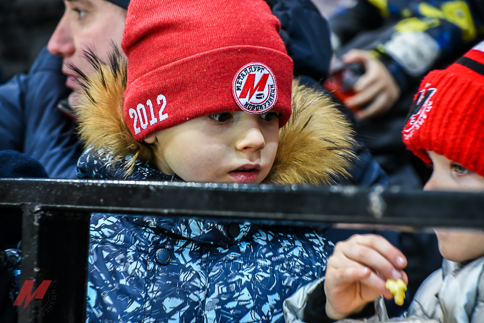 Болельщики на хоккее (29.01-04.02.2018)