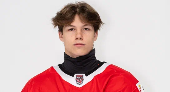 Гуров Михаил