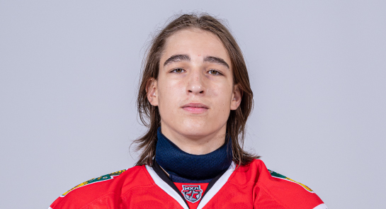 Сутченко Илья