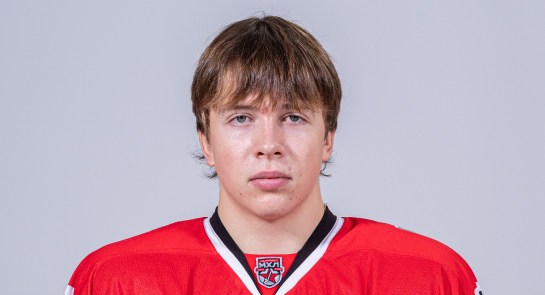 Шевель Александр