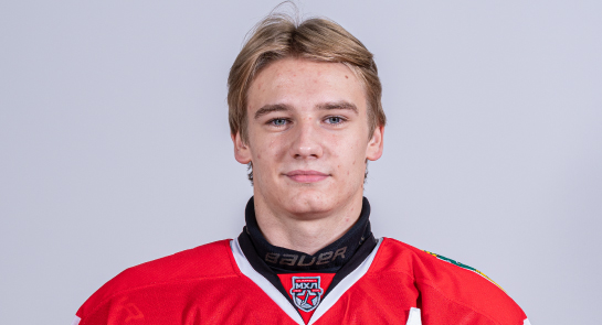 Воронин Денис