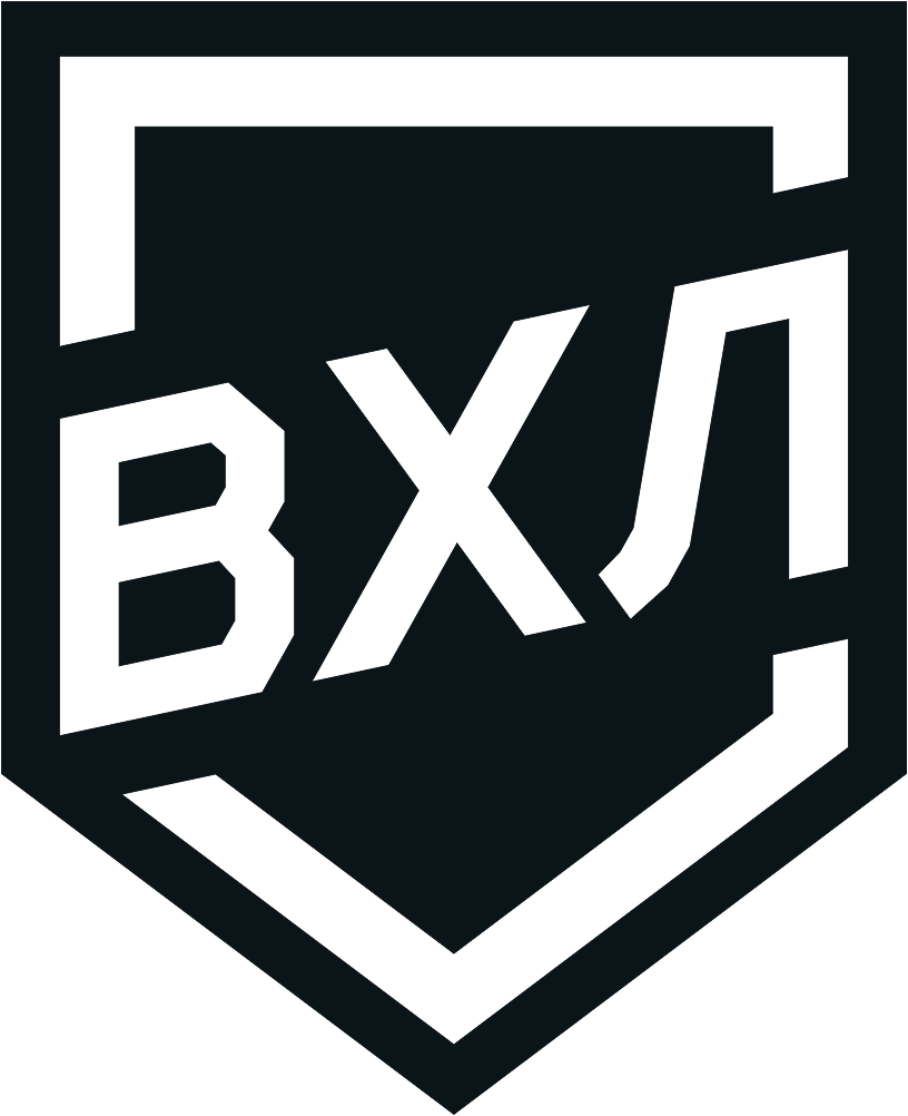 Всероссийская хоккейная лига