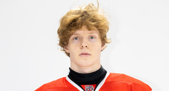 Кутявин Лев