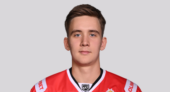 Белов Данила Р.