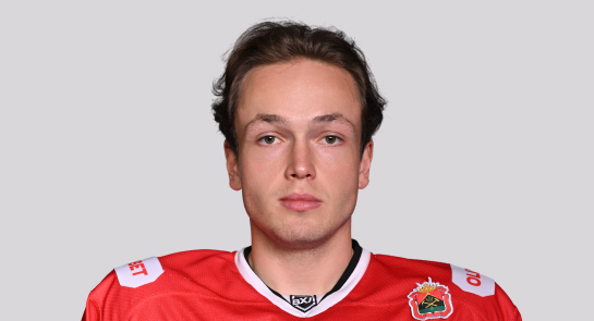 Гуслистов Никита