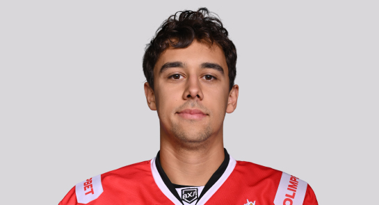 Казаков Максим А.