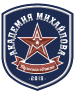 Академия Михайлова